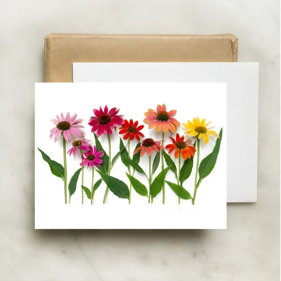 Bottle Branch Cards