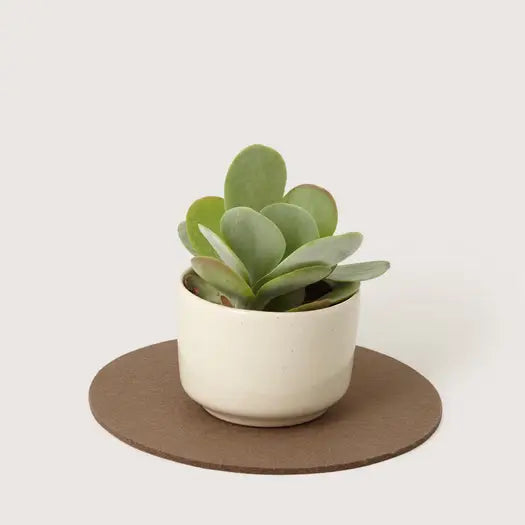 Medium Round Wool Felt Trivets