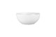 coup dessert bowl