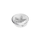 Sand Dollar Plate - Medium