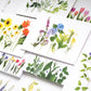 Bottle Branch Cards