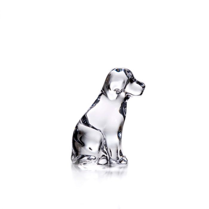 Glass Dog in Gift Box
