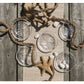 Sand Dollar Plate - Medium