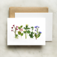 Bottle Branch Cards
